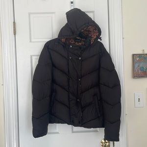 Brown Scotch & Soda short quilted jacket, inner leopard lining & detachable hood